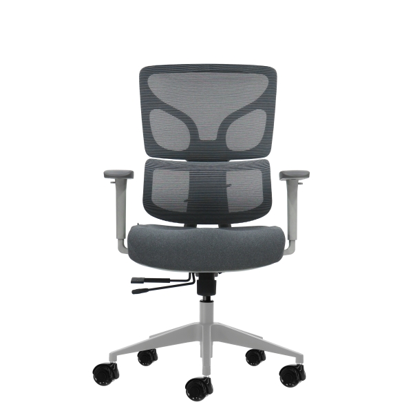 Oqonos Cherg 015 Silla de Oficina Ergonomica con Respaldo y Asiento de Malla Elastica, Reposabrazos 4D, Asiento Deslizable Ergonomico Moldeado y Ruedas de Silicona - Gris