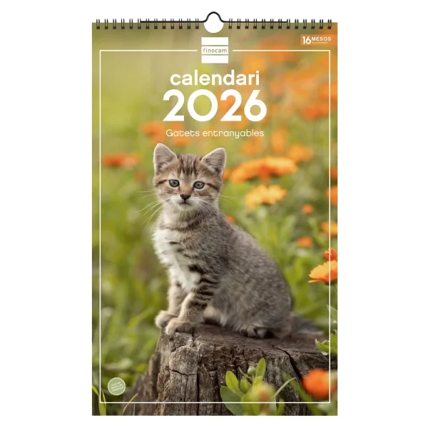 Finocam Calendario de Pared en Catalan - Anual 2026 - Imagenes Variadas - con Espiral - Espacio para Escribir - Tematica de Gatos